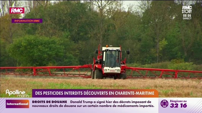 Info RMC : Des pesticides interdits découverts en Charente-Maritime