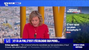 C'est quoi le plan Ecophyto? BFMTV répond à vos questions