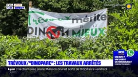 Trévoux: les travaux du “Dinoparc” arrêtés par les écologistes