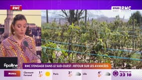RMC s'engage dans le Sud-Ouest : Retour sur les avancées 