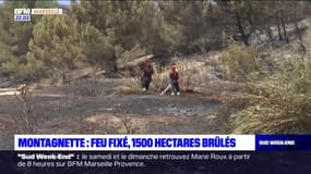 Montagnette: le feu est fixé, mais 1500 hectares ont été brûlés