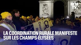 Manifestation surprise de la Coordination rurale à Paris: 13 personnes interpellées sur les Champs-Élysées