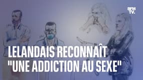 Nordahl Lelandais reconnaît "une addiction au sexe"