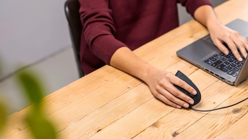 Plus de 12 500 personnes ont validé cette souris ergonomique : elle est parfaite pour le travail