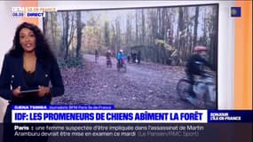 Île-de-France : Les promeneurs de chiens en forêt plus encadrés