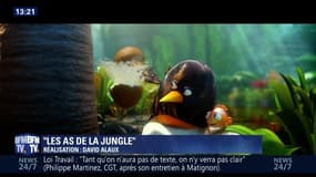 "Les As de la jungle", un dessin animé 100% toulousain