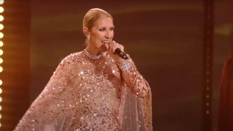 Regarder la vidéo Céline Dion fait une apparition surprise au défilé Elie Saab en Arabie saoudite