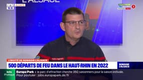 Bas-Rhin: le référent département du SDIS 67 affirme que les sapeurs-pompiers sont intervenus "700 fois pour des feux de végétaux en 2022"