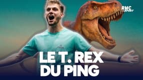 À la découverte de Lilian "T. Rex" Bardet, la sensation du ping français !