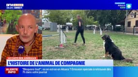 Café de l'info: histoire des animaux de compagnie et bouchée à la reine alsacienne