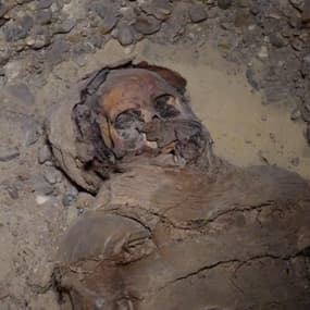 Plus de 40 momies découvertes en Égypte 