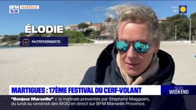 Martigues: le vent vient perturber le festival du cerf-volant 