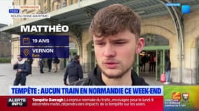 Tempête Darragh: aucun train ne circulera en Normandie ce week-end
