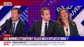 BFM Politique - Dimanche 11 janvier 2026