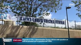 "On se bat pour le maintien du site de Marseille", l'usine de Saint-Louis Sucre est menacée