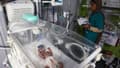 Une infirmière s'occupe de Sabreen al-Ruh al-Sheikh, un bébé palestinien né prématurément par césarienne quelques minutes avant la mort de sa mère, gravement blessée lors d'une frappe aérienne israélienne, à l'hôpital émirati de Rafah, dans le sud de la bande de Gaza, le 24 avril 2024