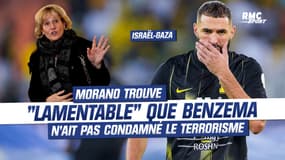 Israël-Gaza : "Je trouve lamentable que Benzema n'ait pas condamné le terrorisme", tacle Nadine Morano
