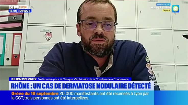 Rhône : un cas de dermatose nodulaire détecté