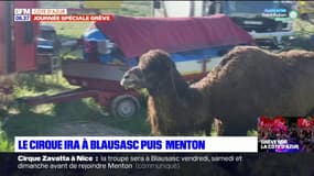 Cirque Zavatta: la troupe ira à Blausasc puis à Menton