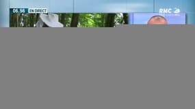La chronique d'Anthony Morel : Des technologies au secours des abeilles - 24/10