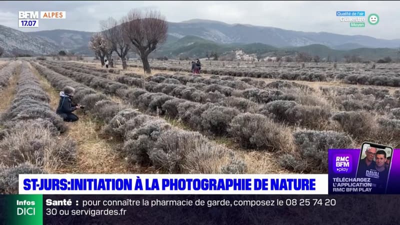 Saint-Jurs : initiation à la photographie de nature 