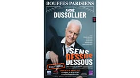 Sens Dessus Dessous - André Dussollier