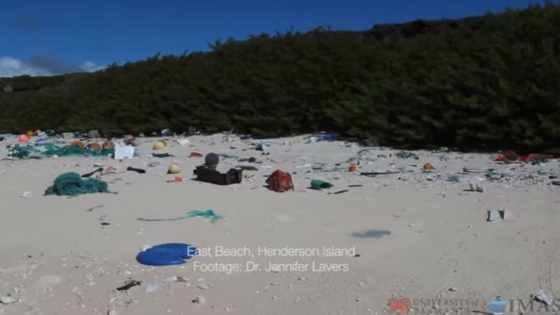 Une plage couverte de déchets sur l'île Henderson