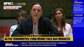 La France interpelle le conseil de sécurité de l'ONU sur les menaces terroristes