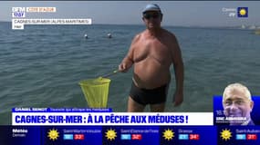 Cagnes-sur-Mer: Daniel traque les méduses