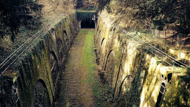 De nouveaux tronçons de la Petite ceinture vont être ouverts au public.