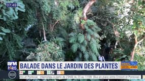 Paris Découverte: Balade dans le Jardin des plantes