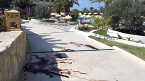 Au moins  28 personnes sont mortes en Tunisie dans l'attaque d'un hôtel.