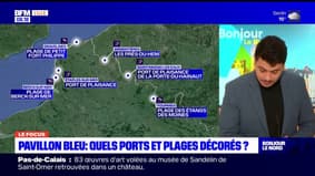 Nord-Pas-de-Calais: six plages et ports labellisés Pavillon bleu, le label du tourisme durable