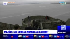 Mont-Saint-Michel: de nombreux curieux pour observer les grandes marées