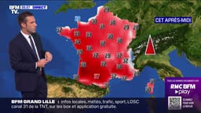 36°C à Bordeaux, 37°C à Toulouse... La vague de chaleur arrive sur le Sud-Ouest