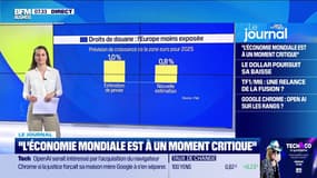 Droits de douane: l'économie mondiale à la peine