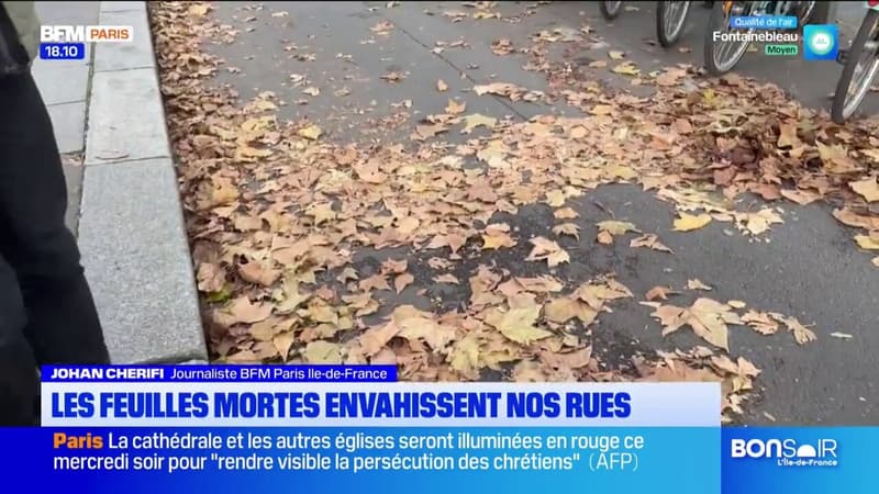 Paris: les feuilles mortes envahissent les rues