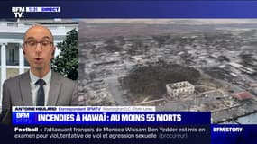 Story 4 : Incendies d'Hawaï, elle a tout perdu - 11/08