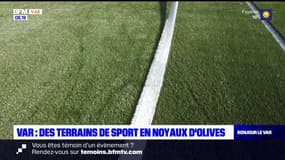 Var: des terrains de sport en noyaux d'olives