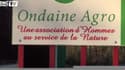 L'AS Saint-Etienne veut s’éclairer à l’huile de friture