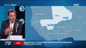 Enlevée le 24 décembre 2016 à Gao, l'otage française Sophie Pétronin aurait été libérée