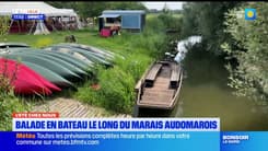 L'été chez nous: balade en bateau le long du marais audomarois