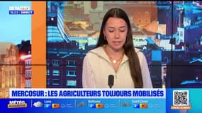 Bonsoir Lille du vendredi 9 janvier 2026