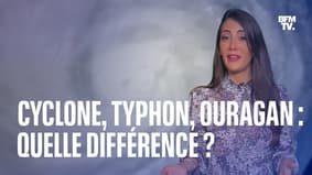 Cyclone, ouragan, typhon: quelle est la différence entre ces phénomènes météorologiques extrêmes?