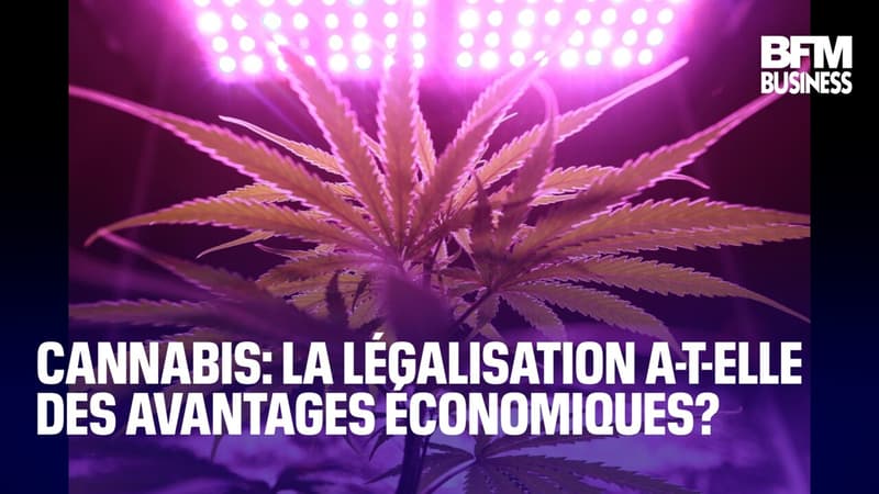 Cannabis: la légalisation a-t-elle des avantages économiques?