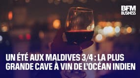  Un été aux Maldives 3/4 : la plus grande cave à vin de l’océan Indien 