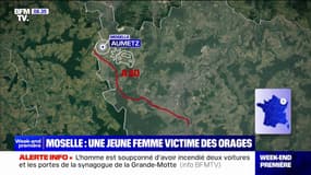 Moselle: une femme de 19 ans meurt après une chute d'arbre causée par les orages