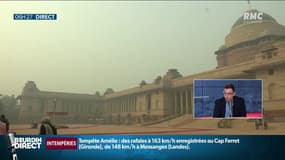 Pollution insupportable en Inde: le gouvernement appelle à manger... des carottes