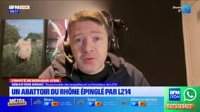 Lyon: une "vision cauchemardesque" à l'abattoir Rhône Ouest