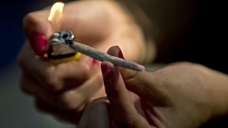 15% des jeunes de 14 à 24 ans auraient déjà consommé du cannabis
